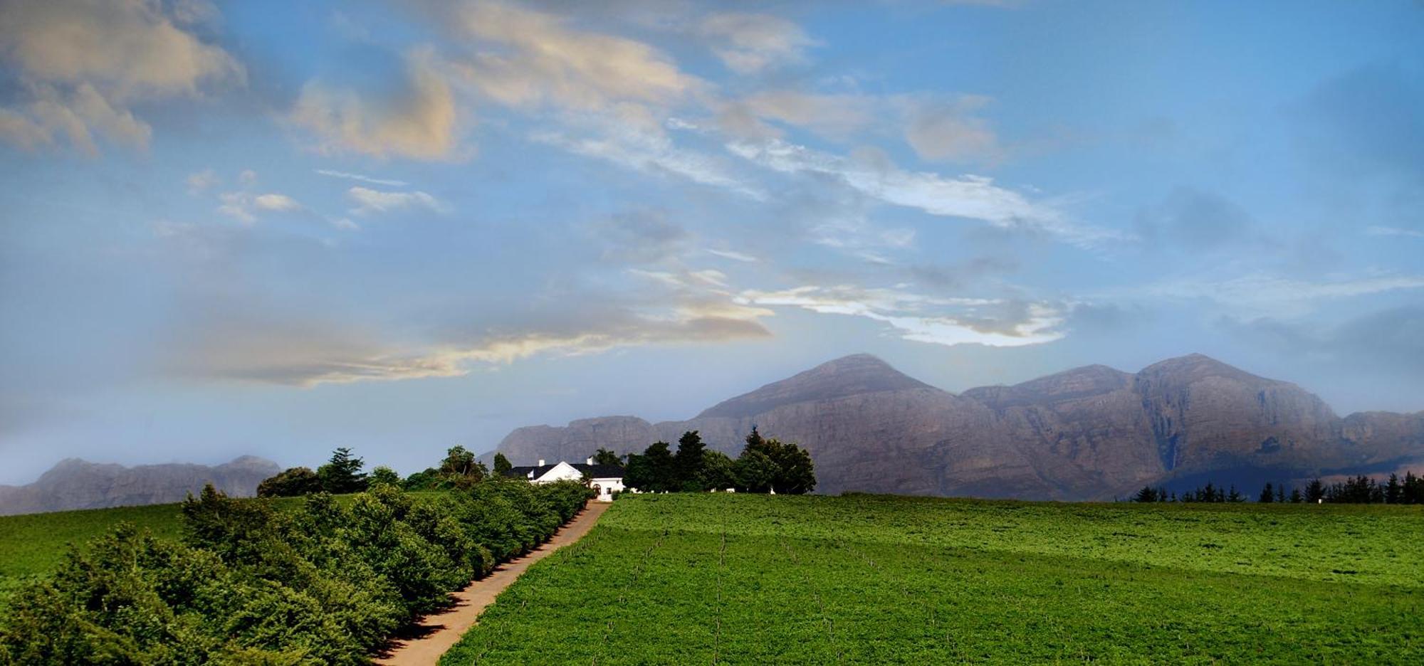 פארל Bakenhof Winelands Lodge מראה חיצוני תמונה
