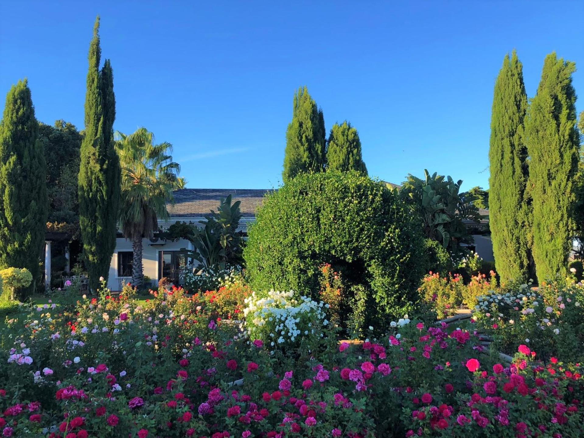 פארל Bakenhof Winelands Lodge מראה חיצוני תמונה