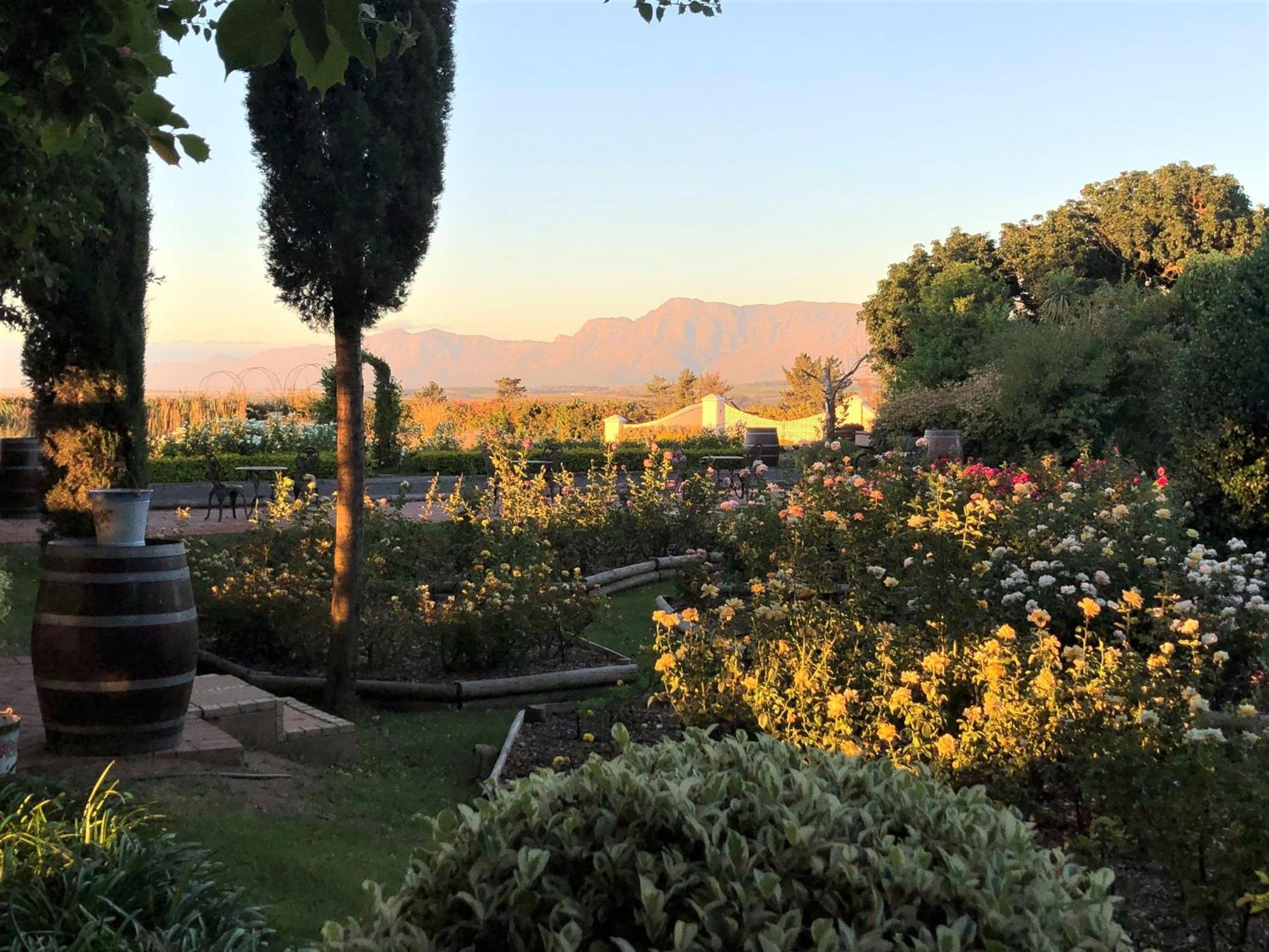 פארל Bakenhof Winelands Lodge מראה חיצוני תמונה